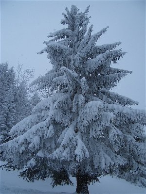 Hohe Winde 2005_06.jpg