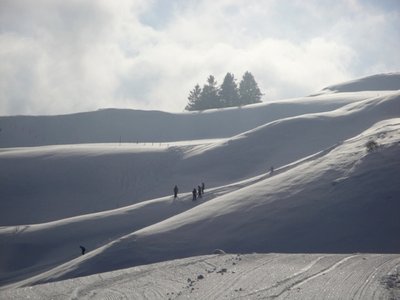 Krummenau-Wolzenalp19.JPG