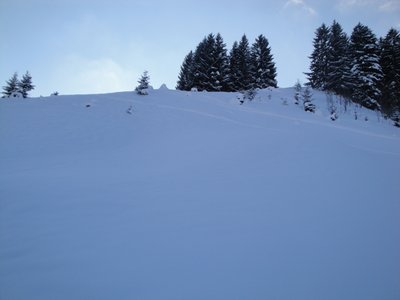 Krummenau-Wolzenalp23.JPG